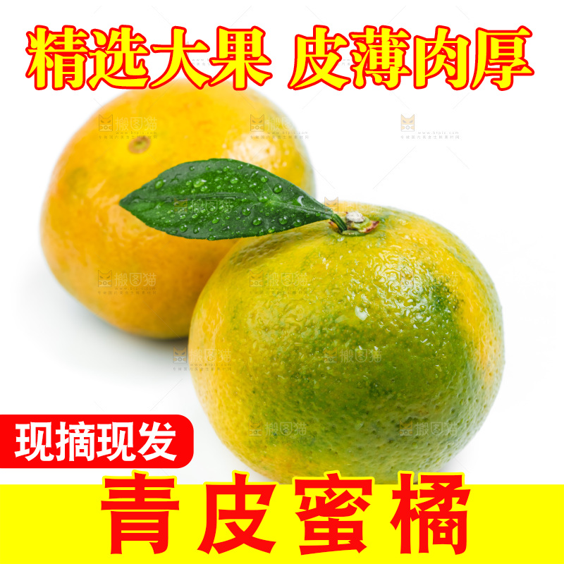 新鲜的青皮蜜橘放在白底上