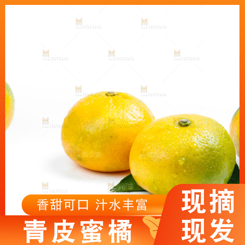 新鲜的青皮蜜橘放在白底上
