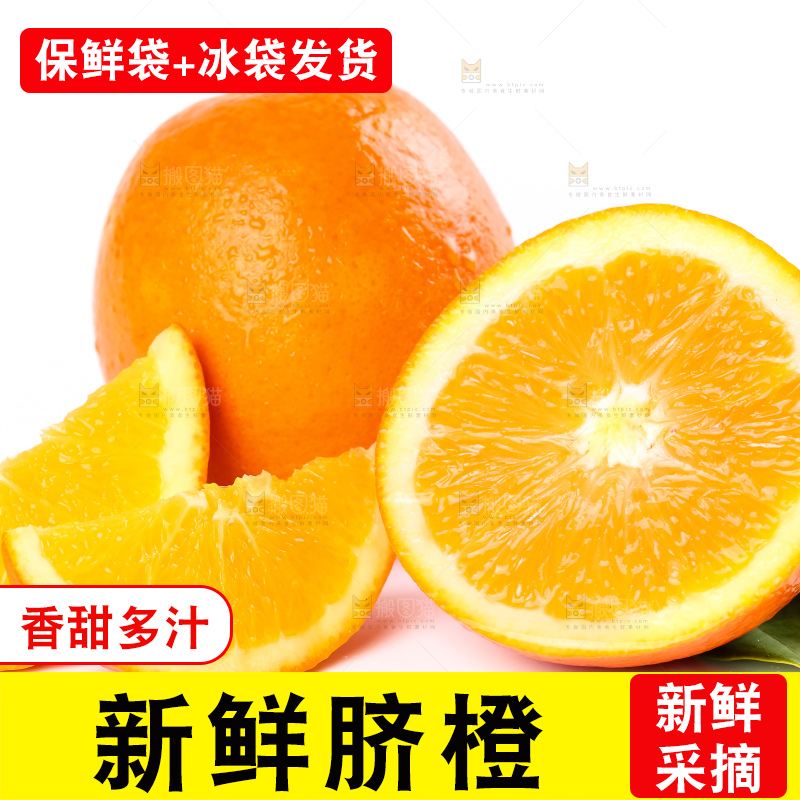 白底上的新鲜橙子