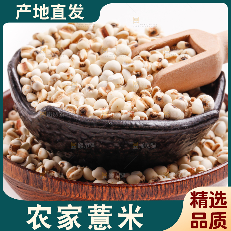 白底上放着薏米仁