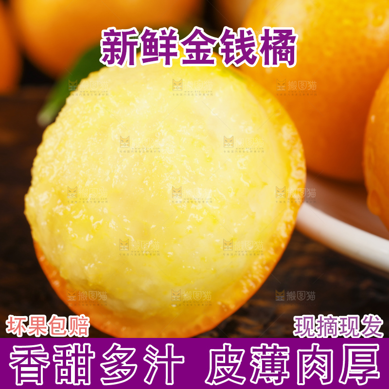 黑底上的小金桔
