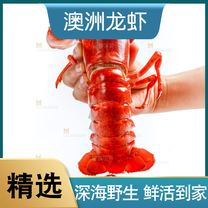 手拿波士顿大龙虾