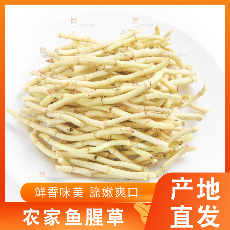 白底上放着折耳根