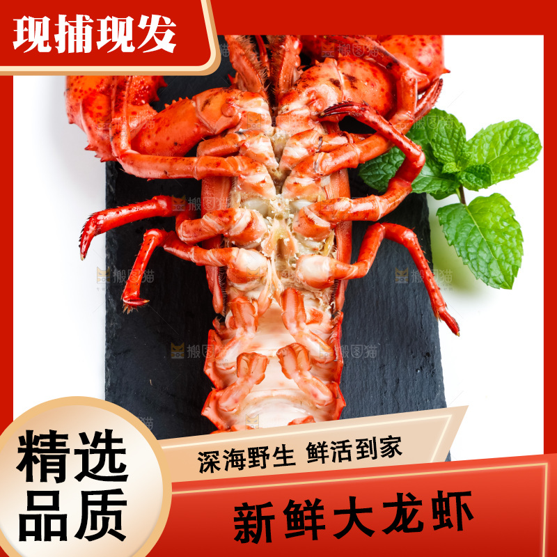 黑石板上的澳洲大龙虾