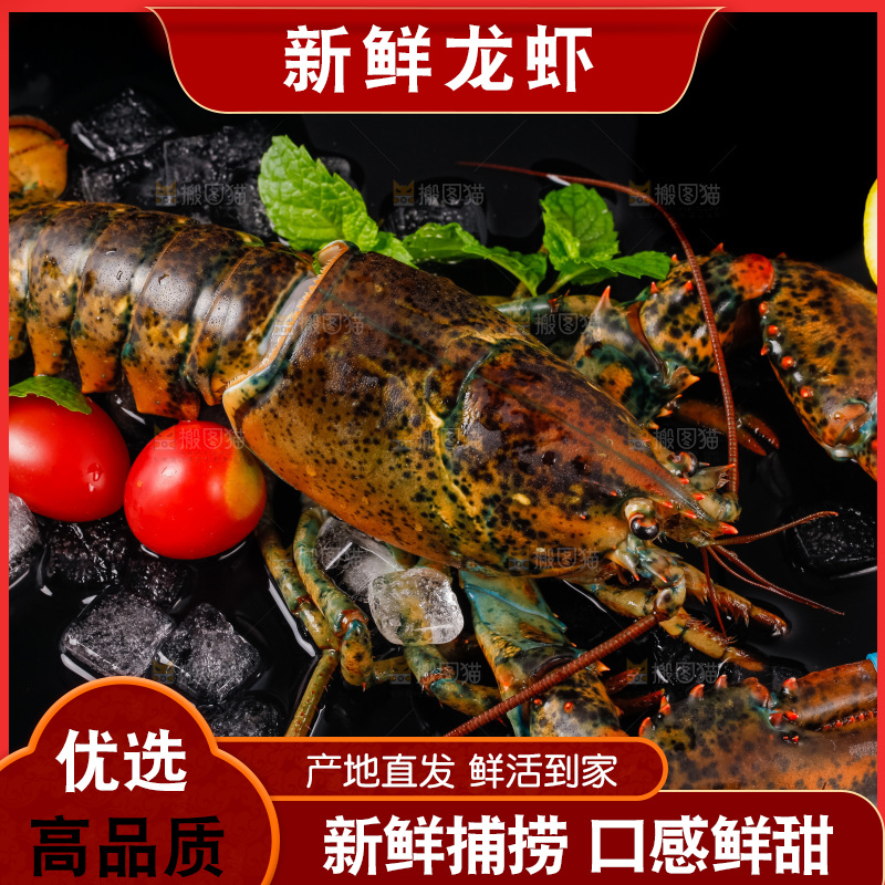 黑底上放着波士顿龙虾