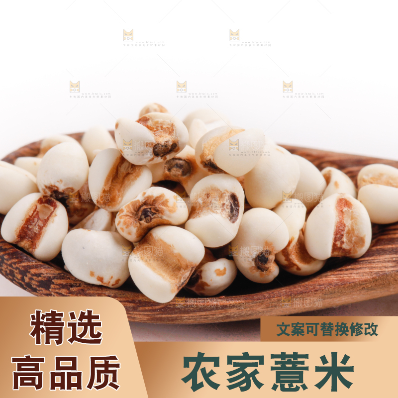 勺子里装着薏米