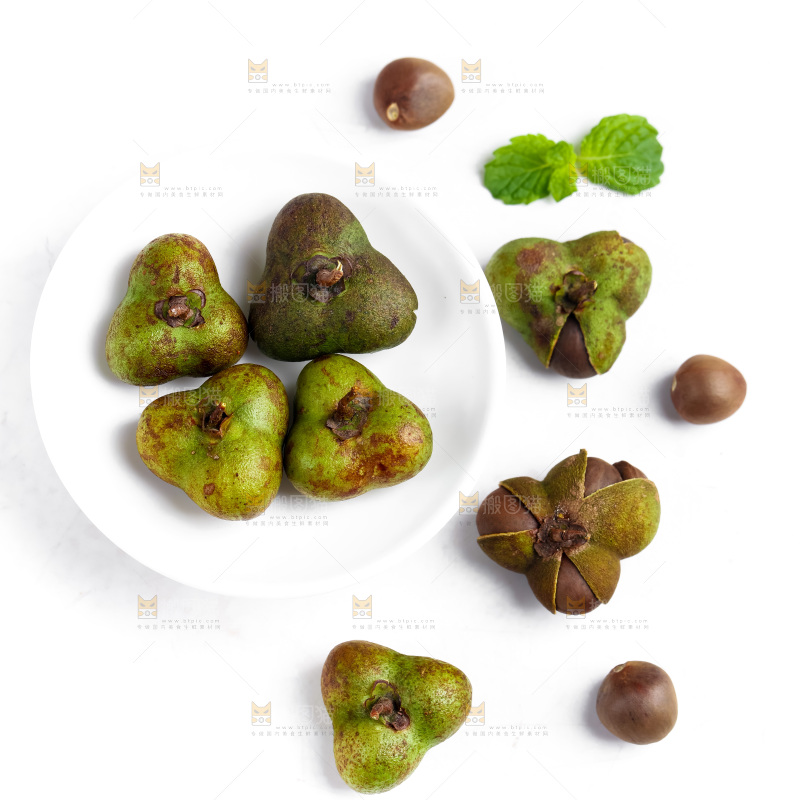 白底上摆放着茶树果