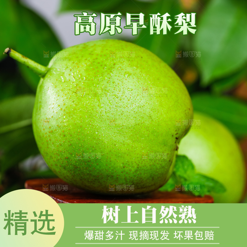 木底上放着陕西早酥梨