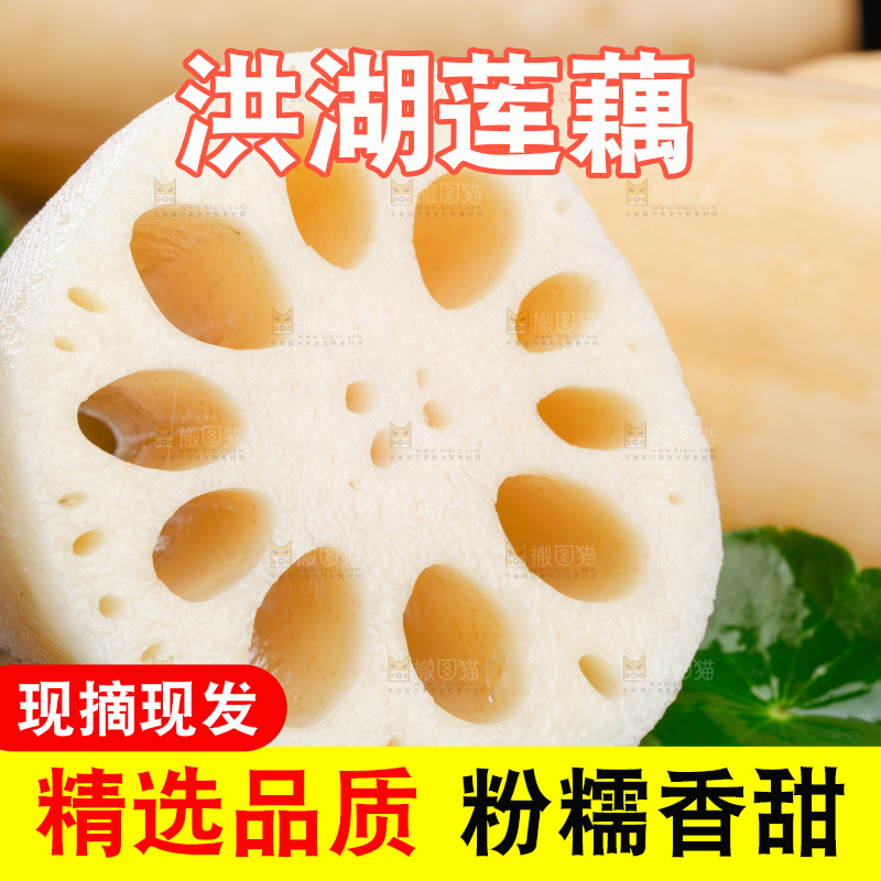 黑底上的莲藕
