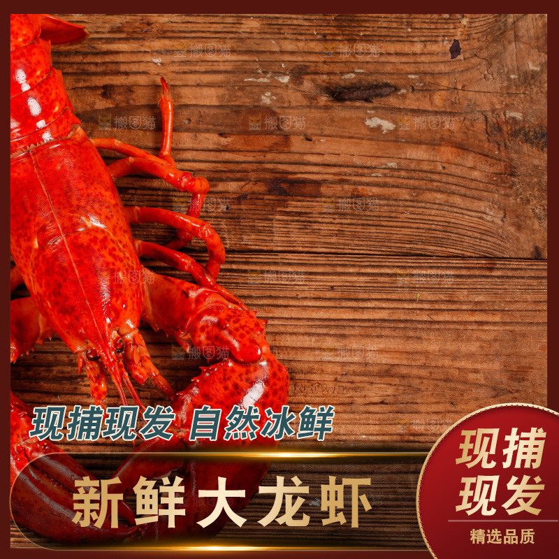 木底上放着大龙虾