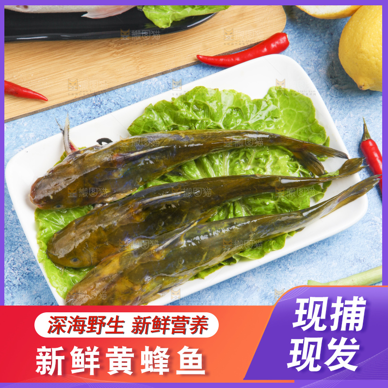 盘子里的黄蜂鱼
