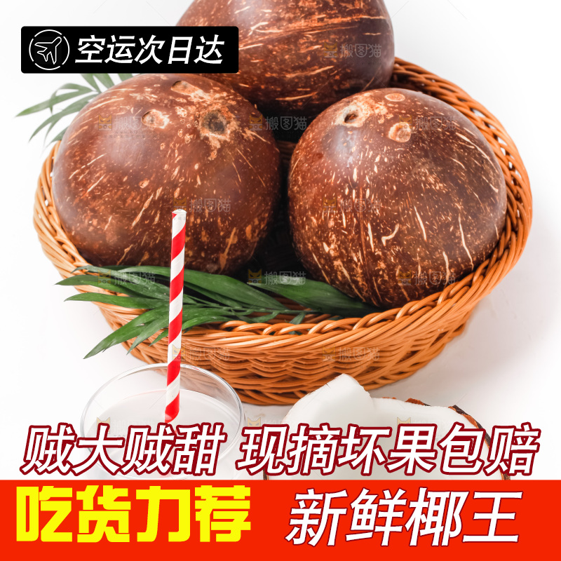 白底上放着椰王
