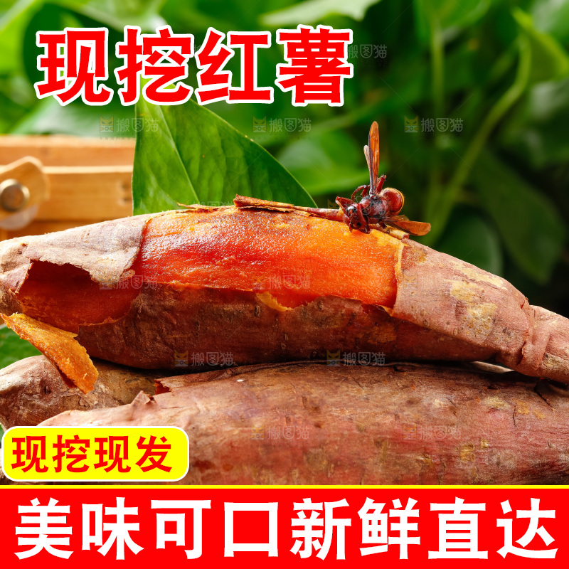 深底上的红薯