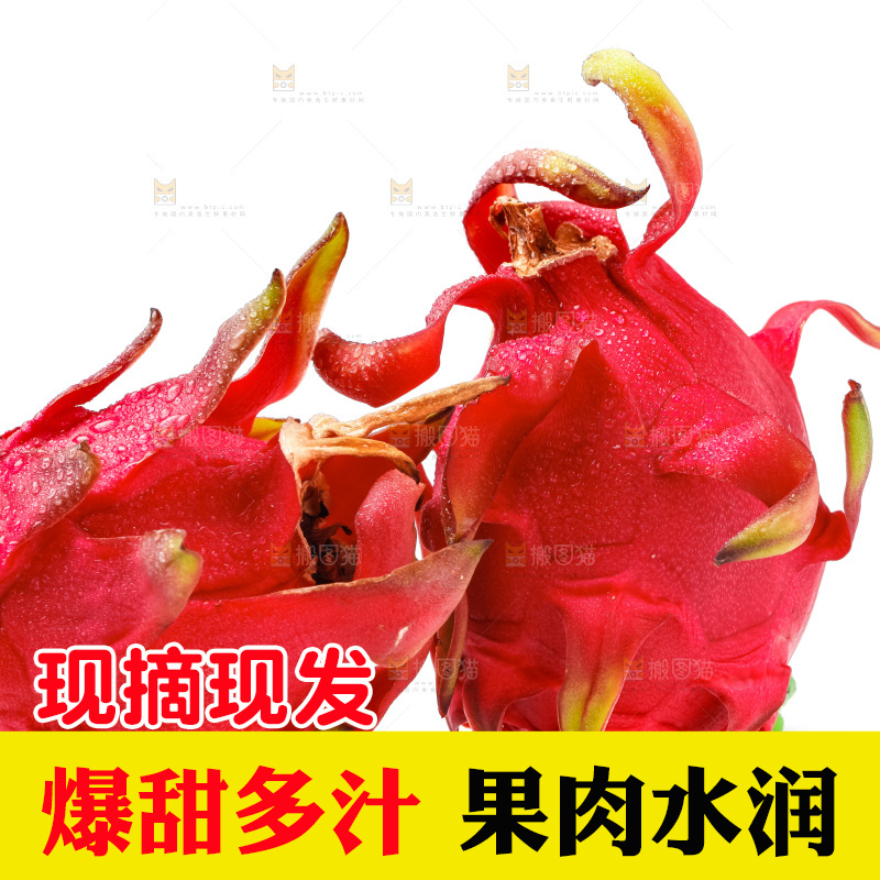 白底上的火龙果