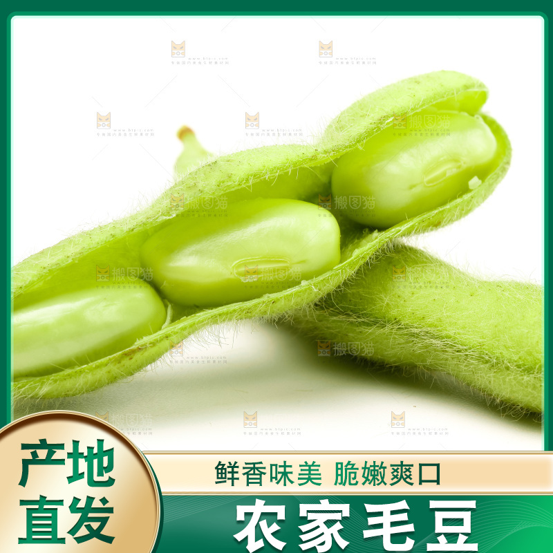 白底上的毛豆