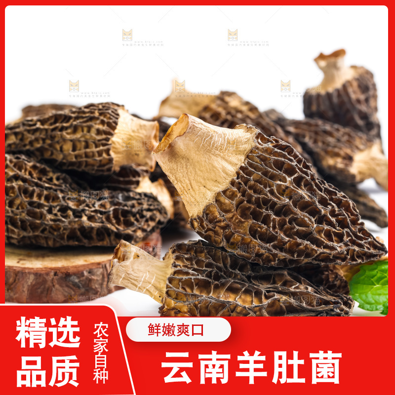 干羊肚菌放在浅底上