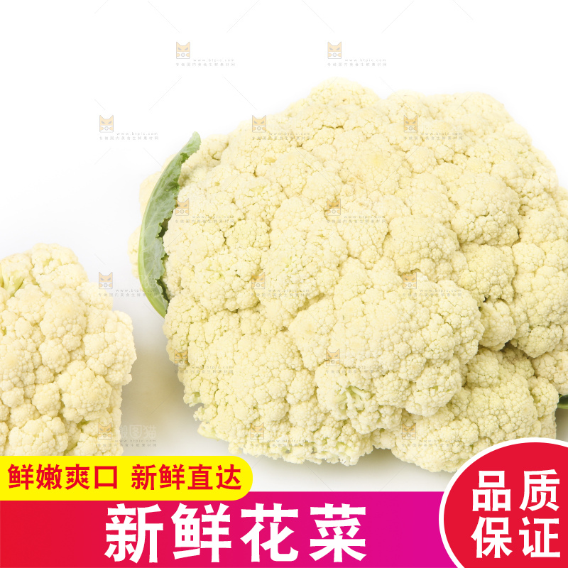 白底上的花菜