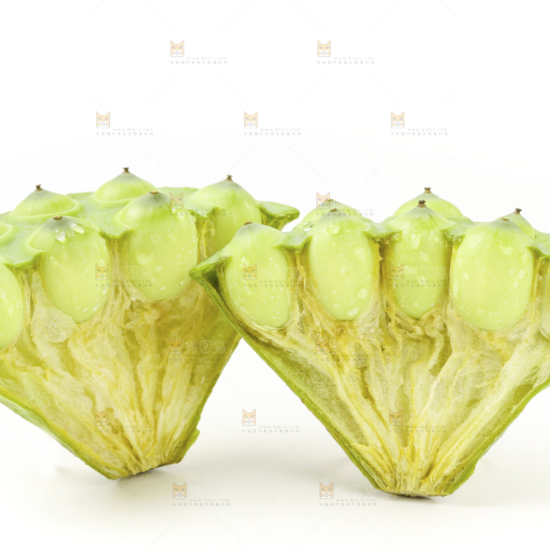 白底上的嫩莲蓬