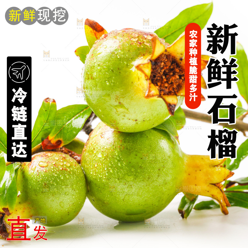 白底上的新鲜石榴