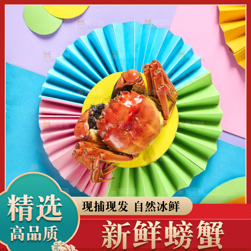 彩底上的螃蟹