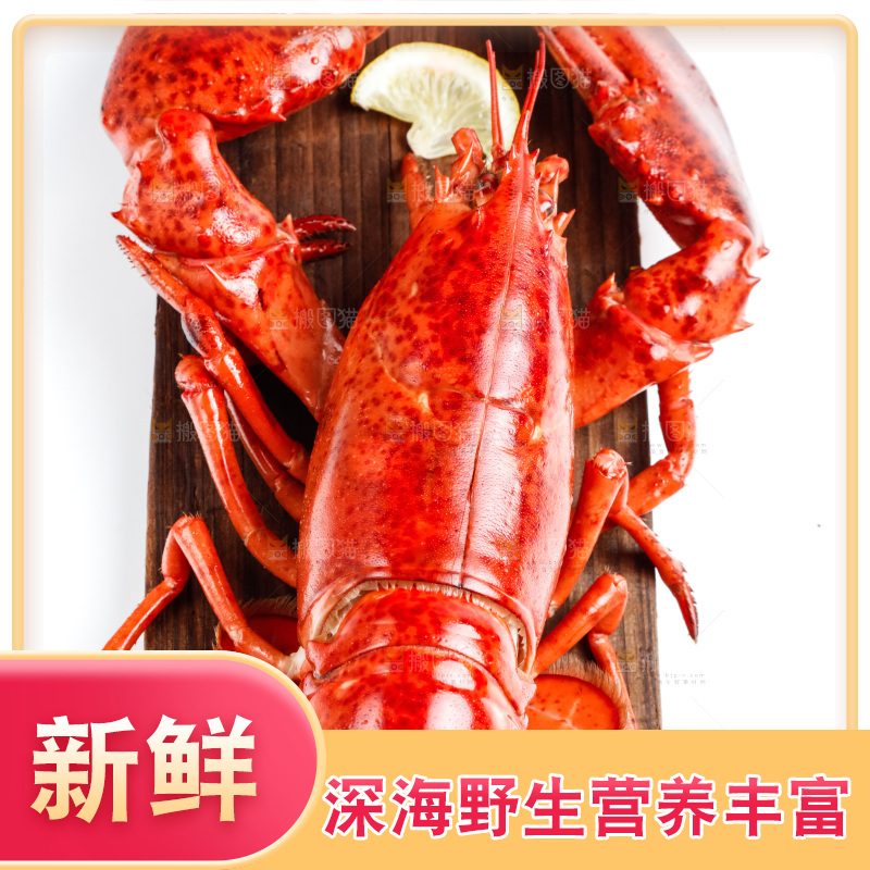 木底上的大龙虾