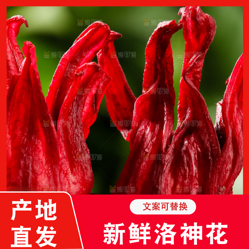 碟子里的玫瑰茄