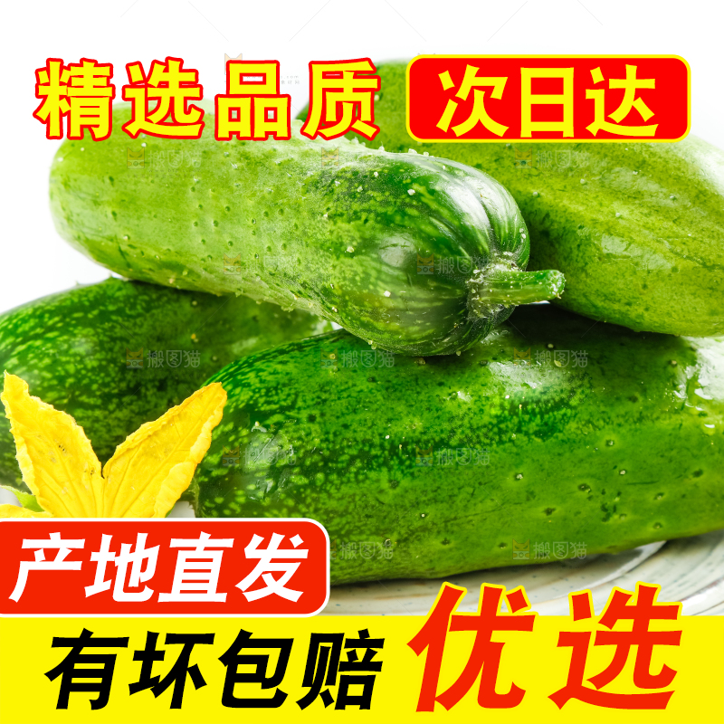 盘子里的东北旱黄瓜