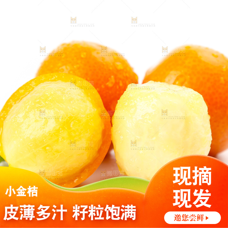 白底上的融安小金桔