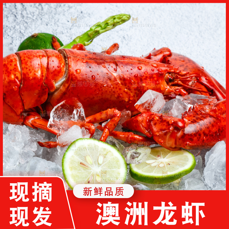 石板上的波士顿大龙虾