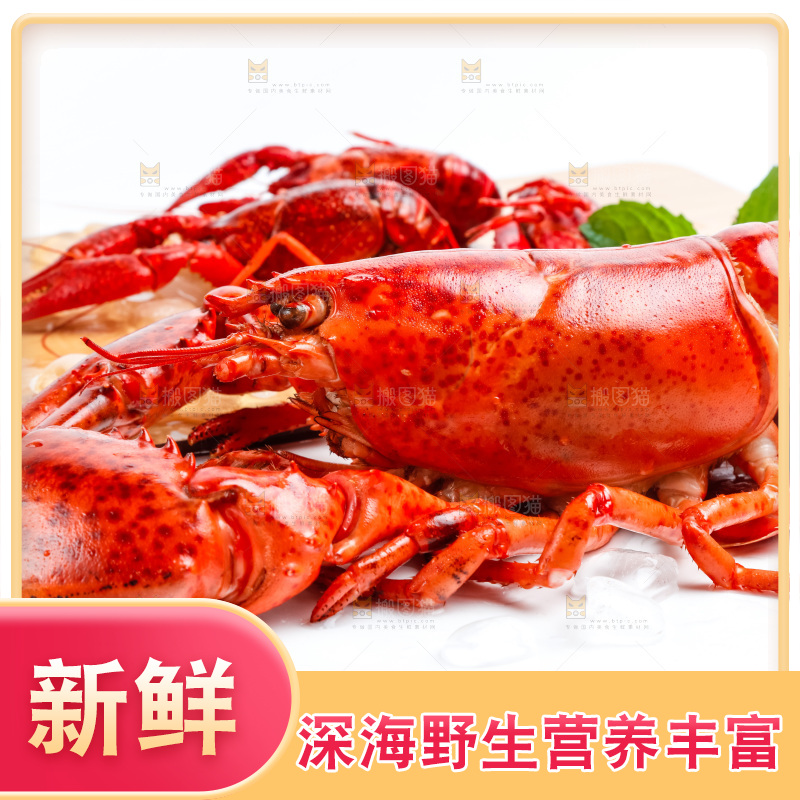 浅底上放着波士顿大龙虾