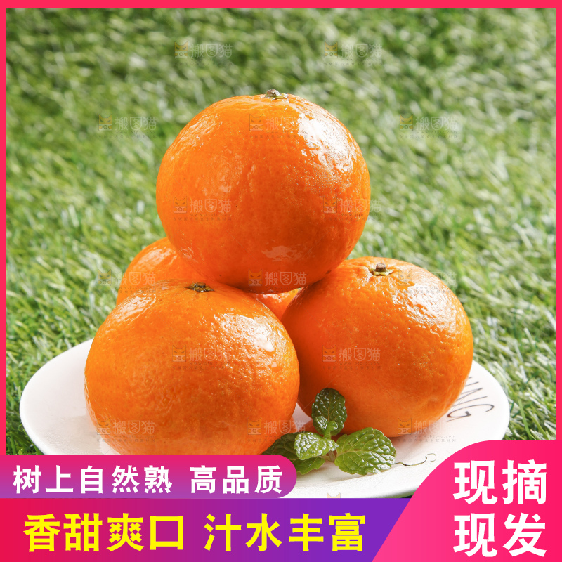 草地上放着贵妃柑