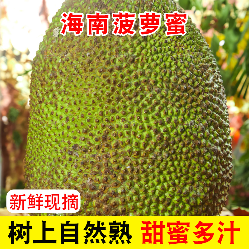 浅底上的泰国红心菠萝蜜