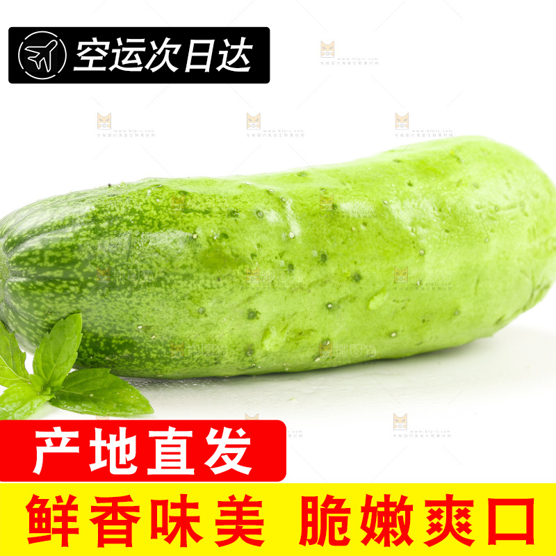 白底上放着新鲜旱黄瓜