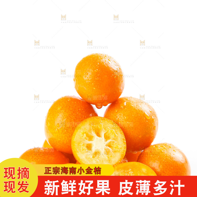 白底上摆放着阳朔金桔
