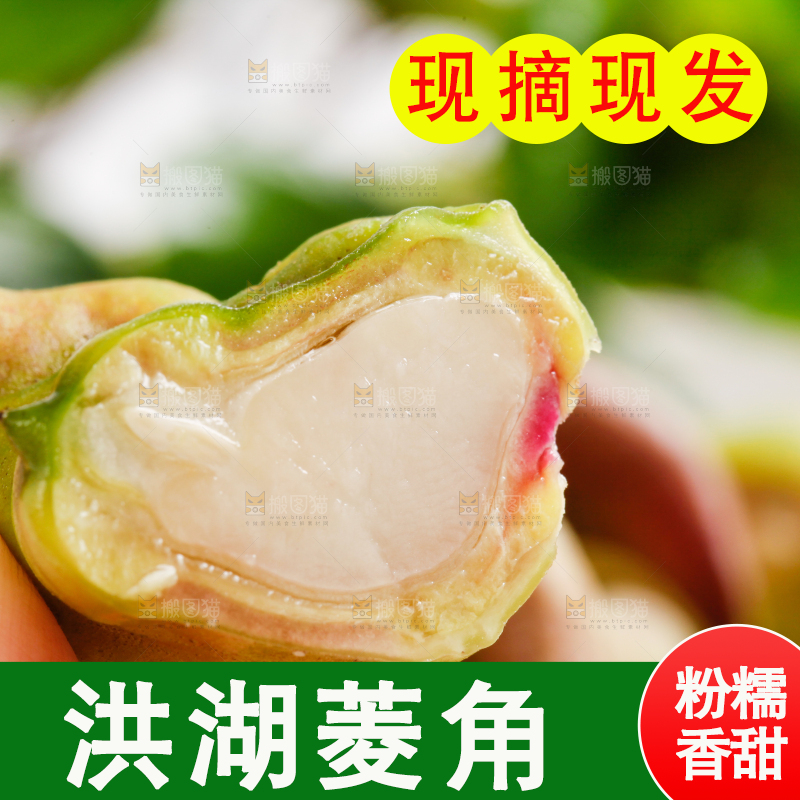 手里拿着新鲜菱角