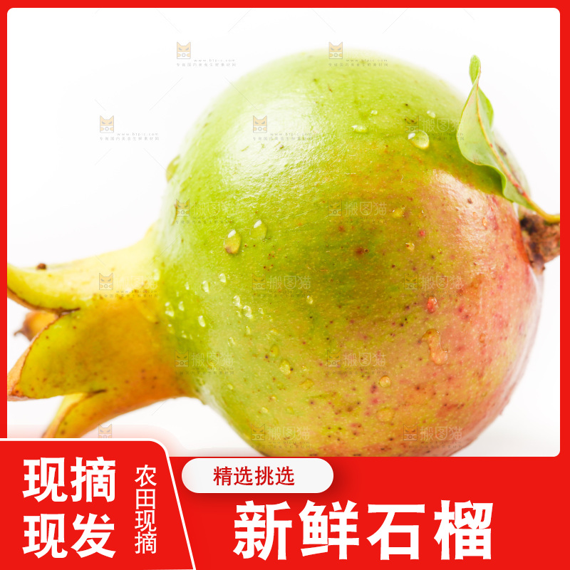 软籽石榴放在白底上