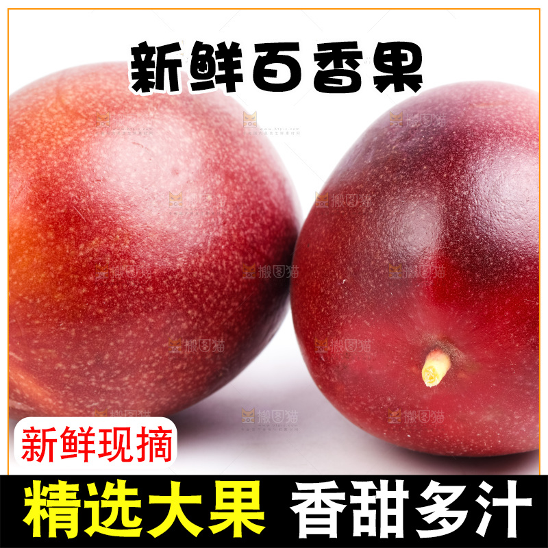 紫皮百香果放在白底上