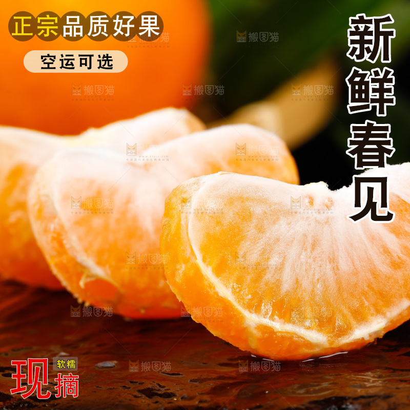 深底上的春见柑桔