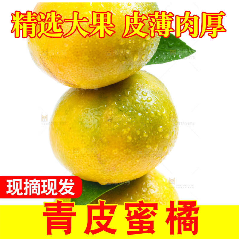 新鲜的青皮蜜橘放在白底上