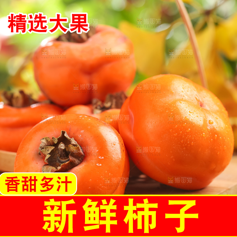 篮子里装着河北磨盘柿子