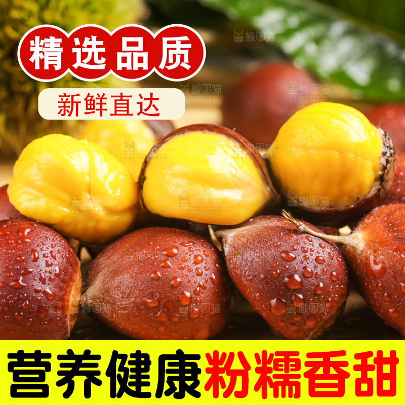 深底上的迁西板栗
