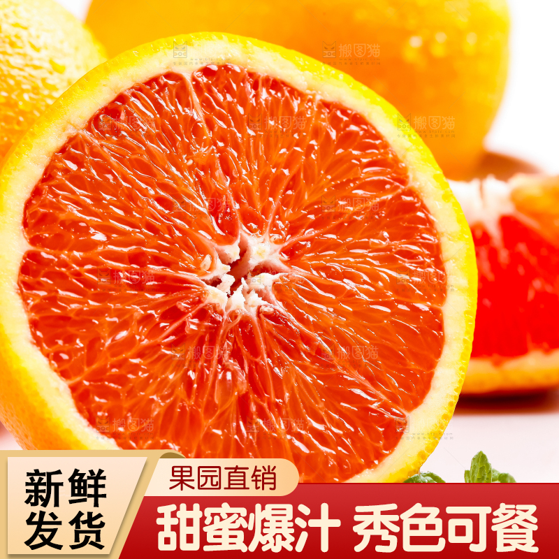 白底上的新鲜橙子