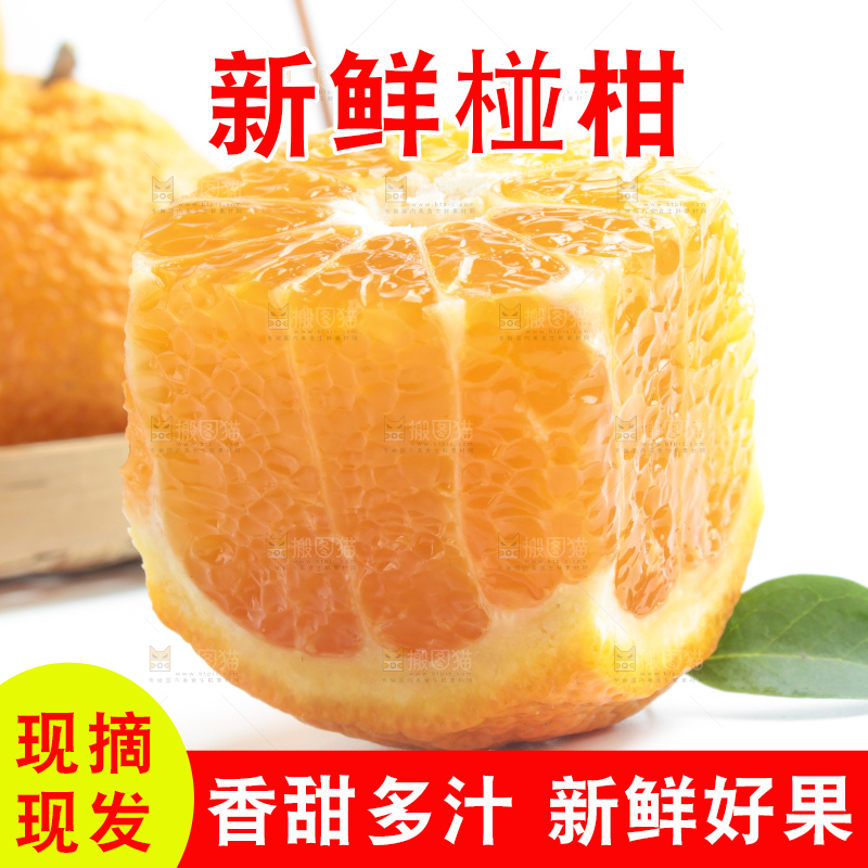 白底上摆放着椪柑橘