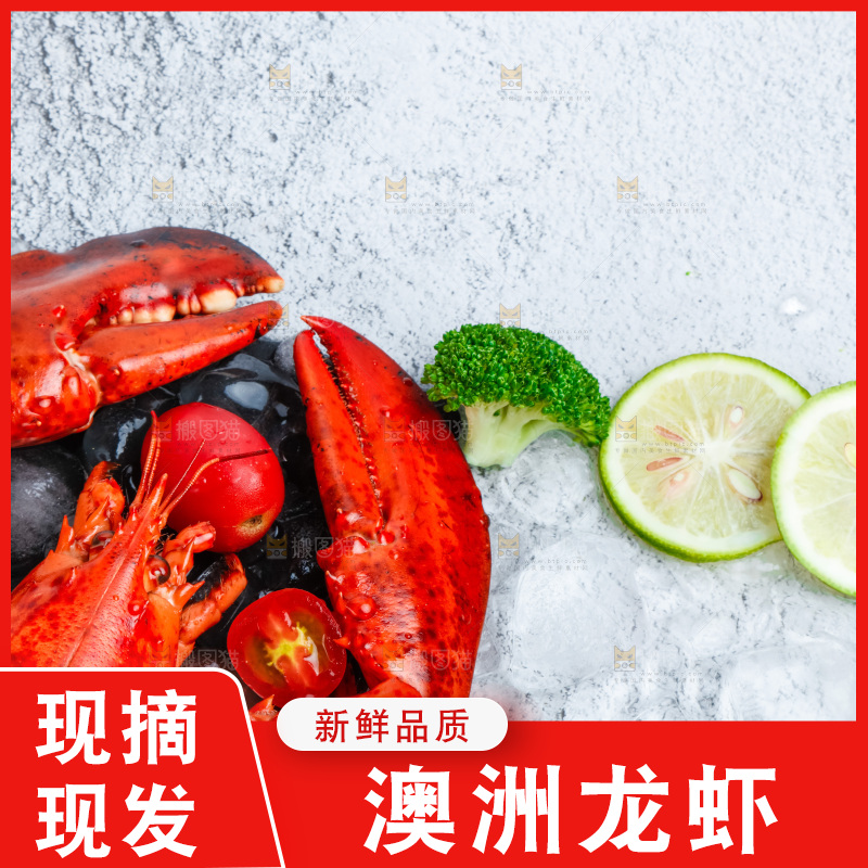 石板上的波士顿大龙虾