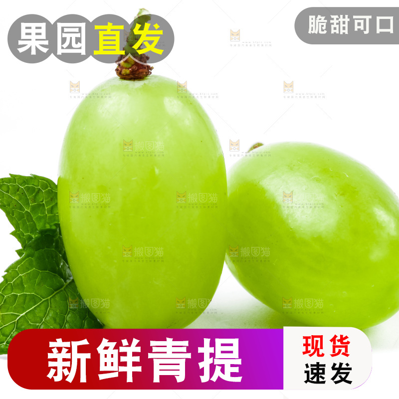 白底上放着新鲜青提