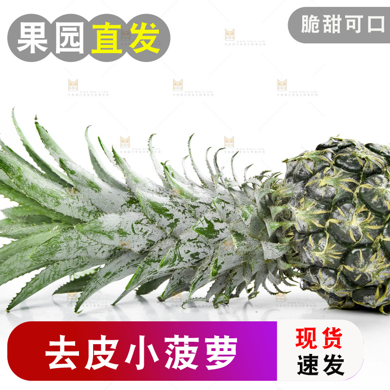 白底上放着泰国小菠萝