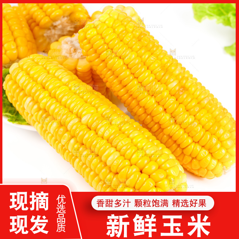白底上放着黄玉米