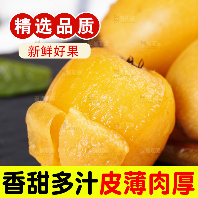 石板上的云南蒙自枇杷