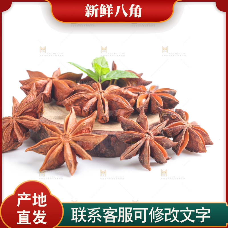 广西八角放在白底上