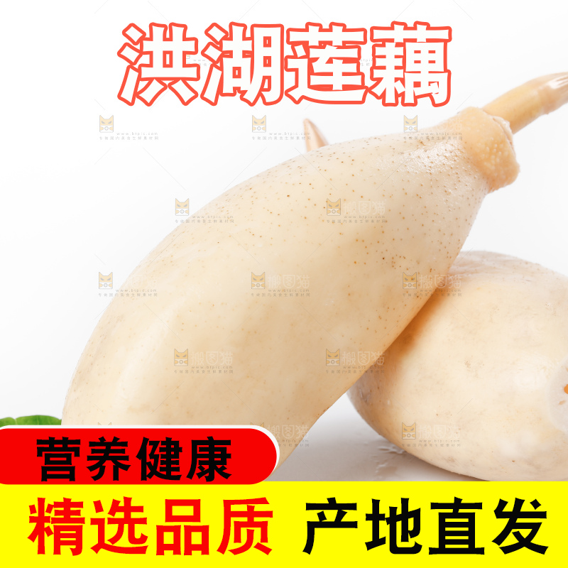 白底上的新鲜莲藕